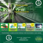 Email de muestra