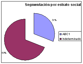 Segmentación por estrato social
